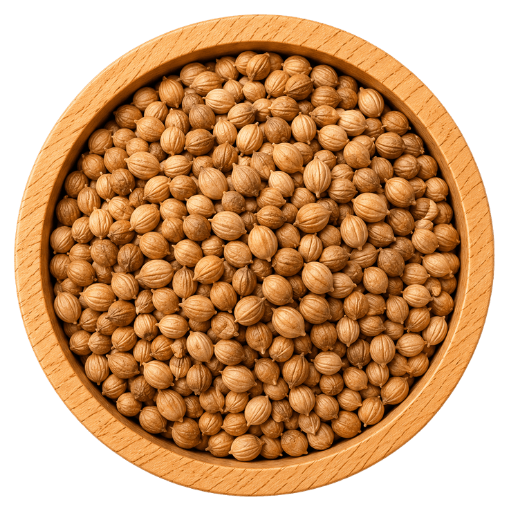 محلب
